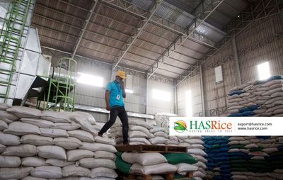 Stacked sacks of paddy in the mill's raw-material store