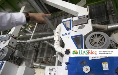 SATAKE optical colour-sorters removing off-colour grains