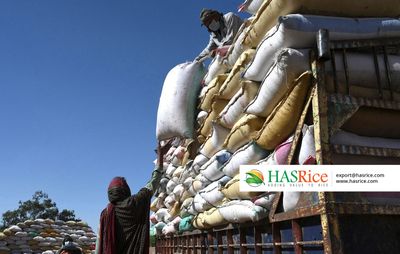 Warehouse stacked with bagged PK386 rice for export