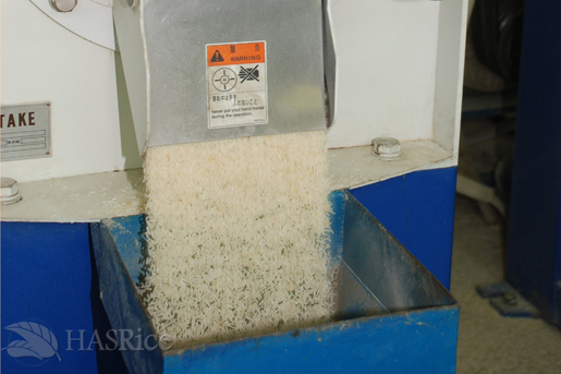 Polished Rice